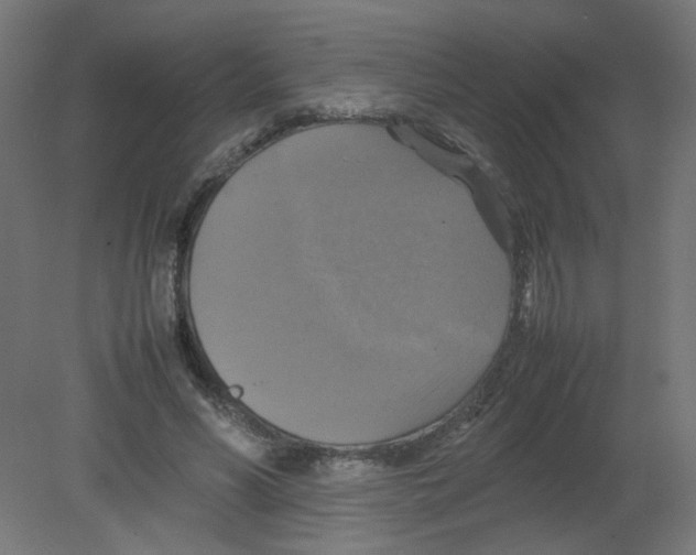 X0000080760590200701122031
