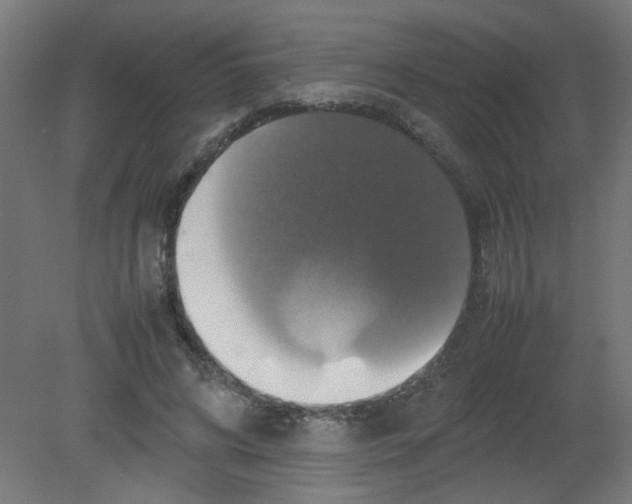 X0000080760592200701122031