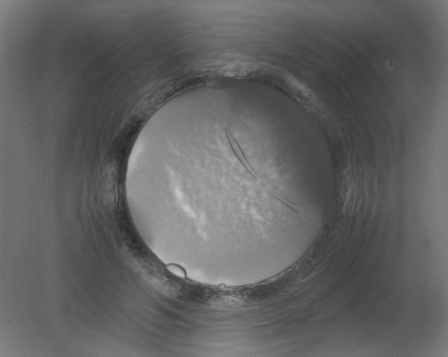 X0000080760594200701122031