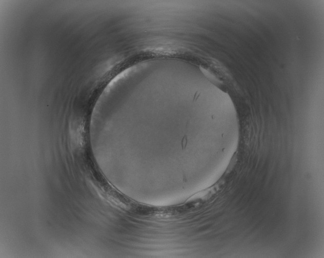 X0000080760596200701122031
