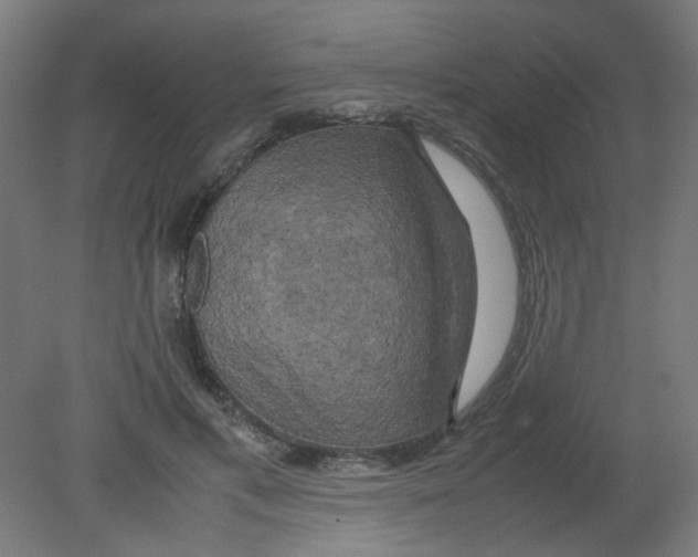 X0000080760597200701122031