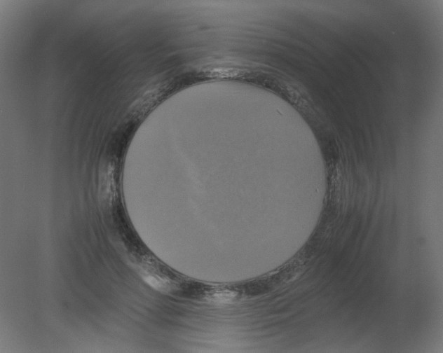X0000080760598200701122031
