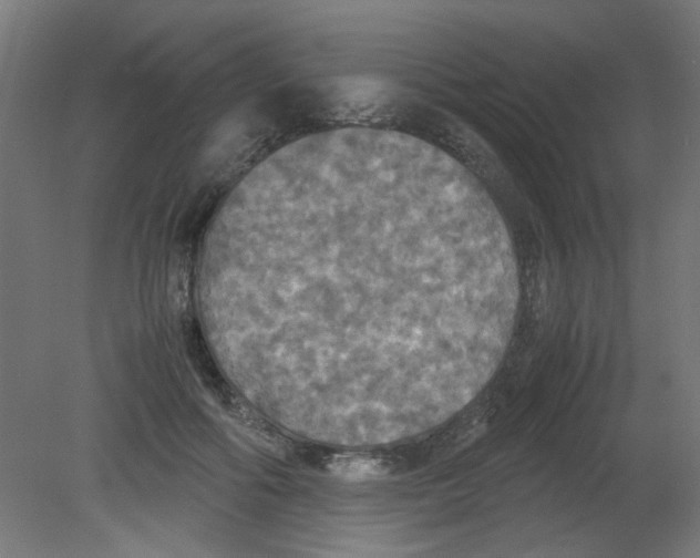 X0000080760602200701122031