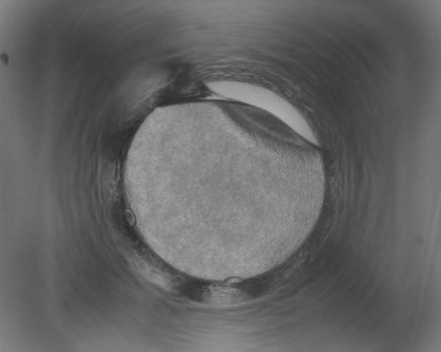 X0000080760605200701122031