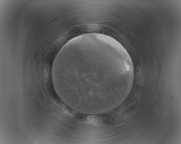 X0000080760608200701122031