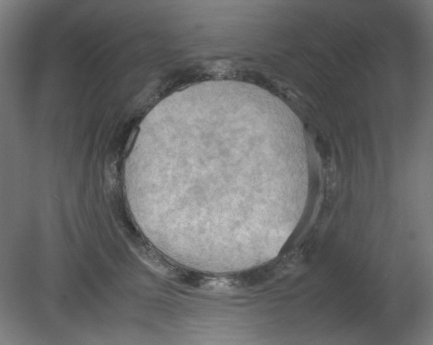 X0000080760611200701122031