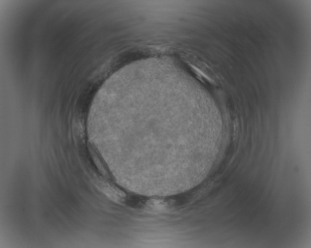 X0000080760613200701122031