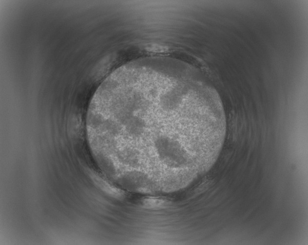 X0000080760614200701122031