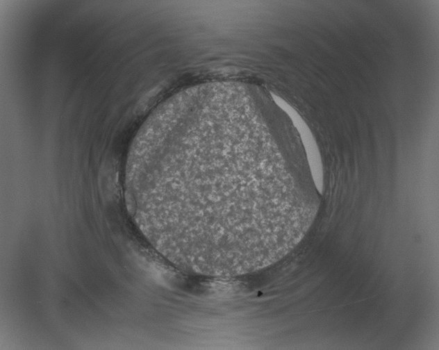 X0000080760615200701122031