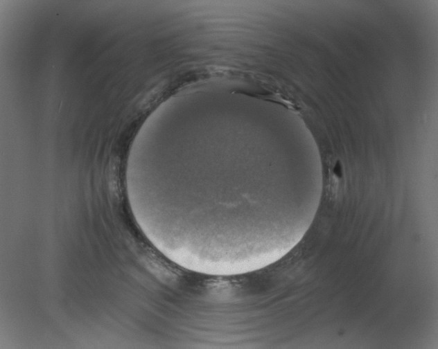 X0000080760616200701122031