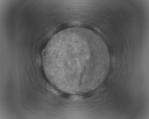 X0000080760617200701122031