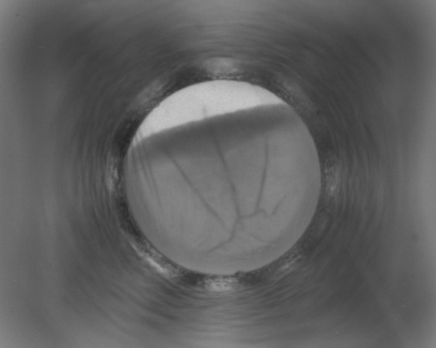 X0000080760618200701122031