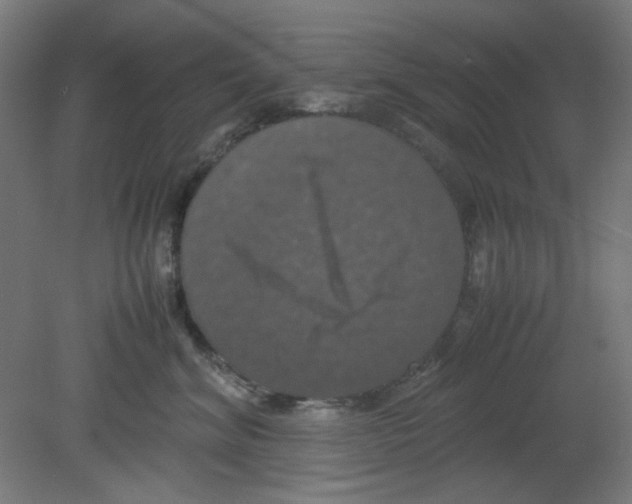 X0000080760620200701122031