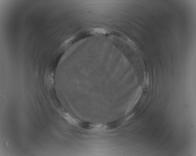 X0000080760621200701122031