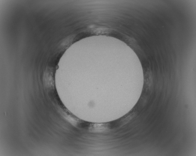 X0000080760622200701122031