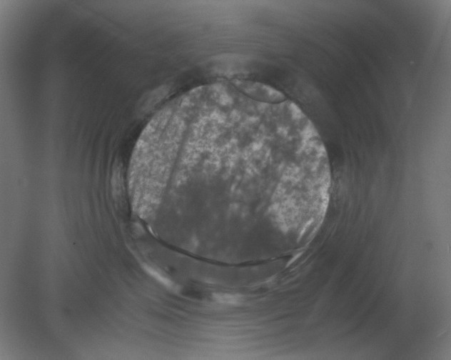 X0000080760623200701122031