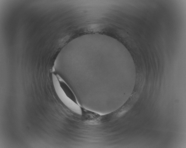 X0000080760624200701122031