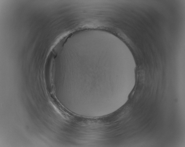 X0000080760626200701122030