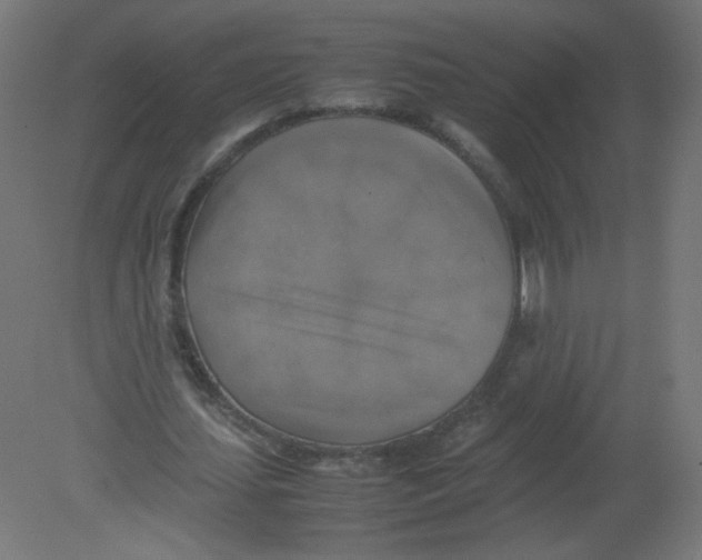X0000080760627200701122030