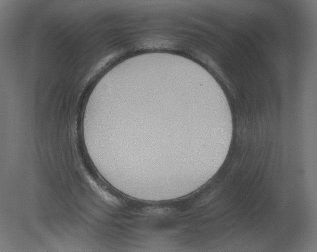 X0000080760629200701122030