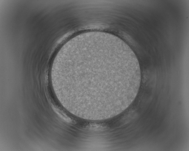 X0000080760632200701122030