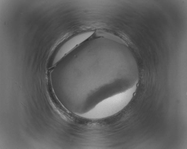 X0000080760634200701122030
