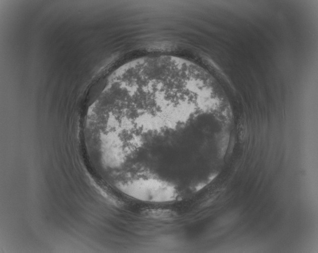 X0000080760637200701122030