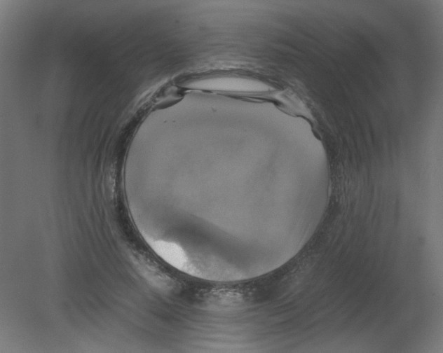 X0000080760640200701122030
