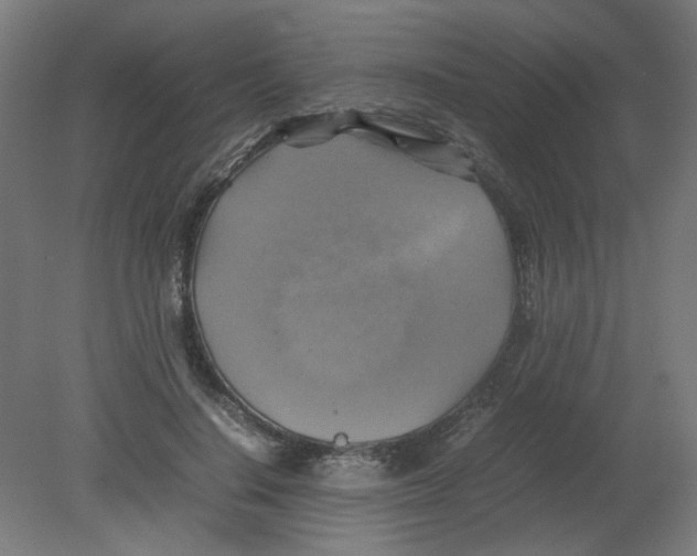 X0000080760644200701122030