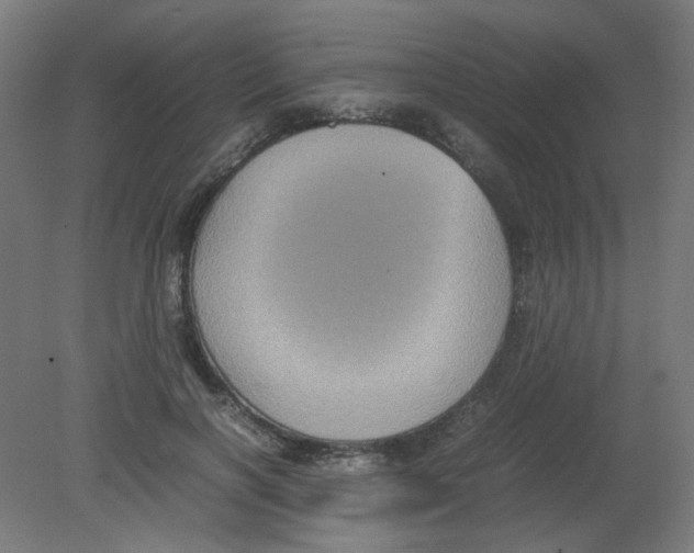 X0000080760646200701122030
