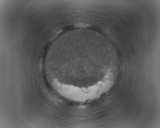 X0000080760647200701122030