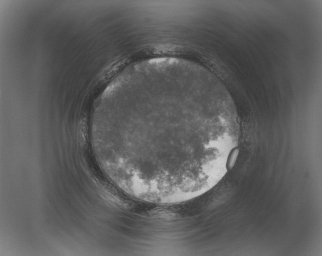X0000080760648200701122030