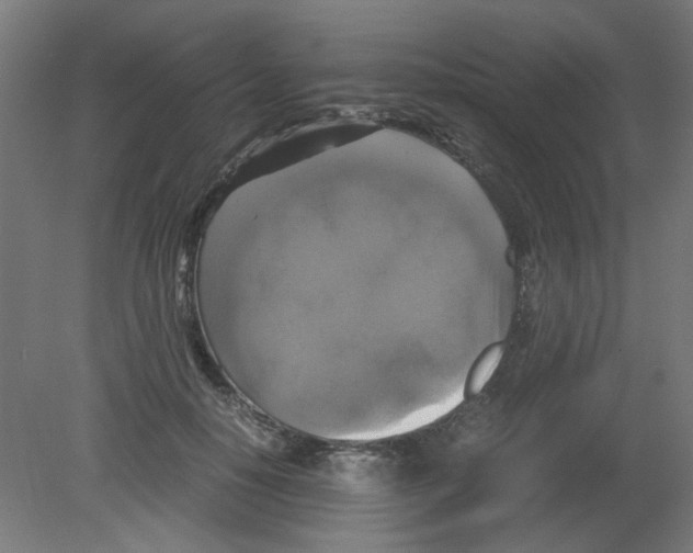 X0000080760650200701122030
