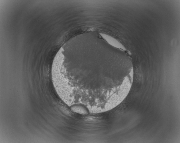 X0000080760657200701122030
