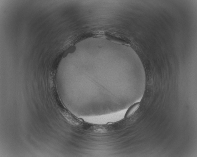 X0000080760658200701122030