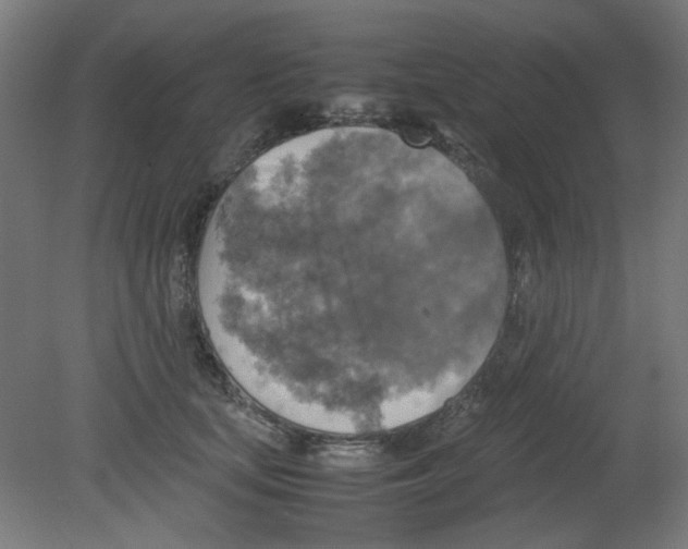X0000080760659200701122030