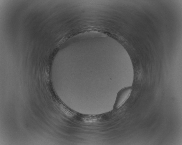 X0000080760661200701122030
