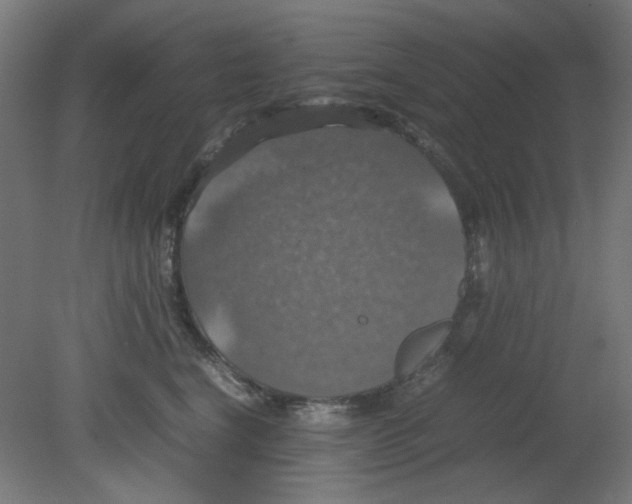 X0000080760664200701122031