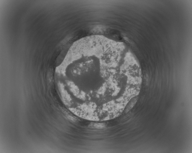 X0000080760665200701122031