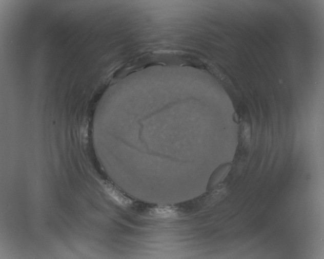 X0000080760668200701122031