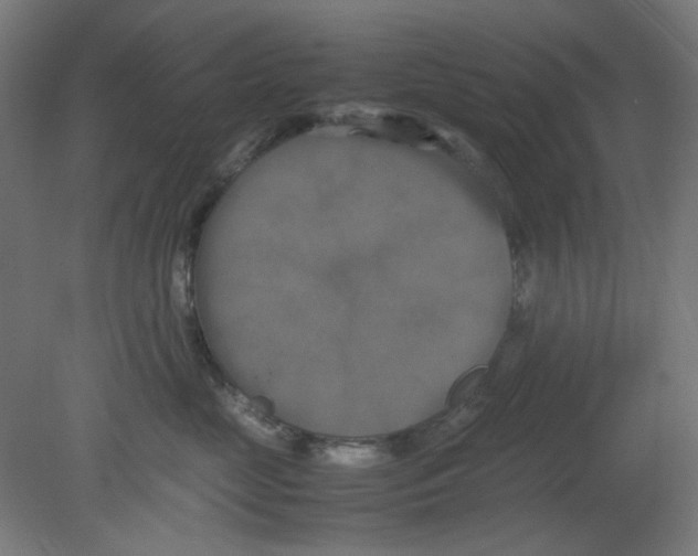 X0000080760669200701122031
