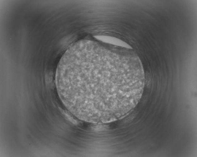 X0000080760670200701122031