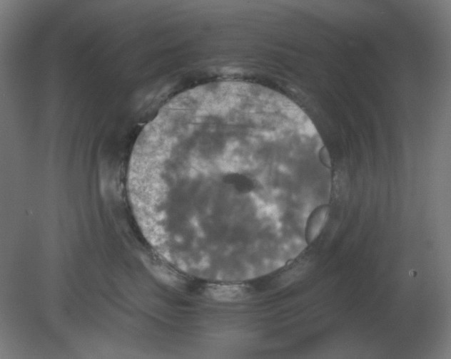 X0000080760671200701122031