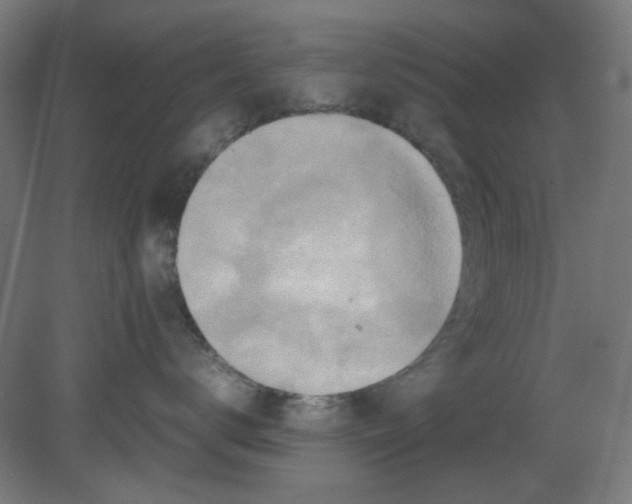 X0000080760672200701122031