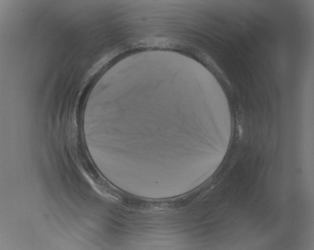 X0000080760674200701122030