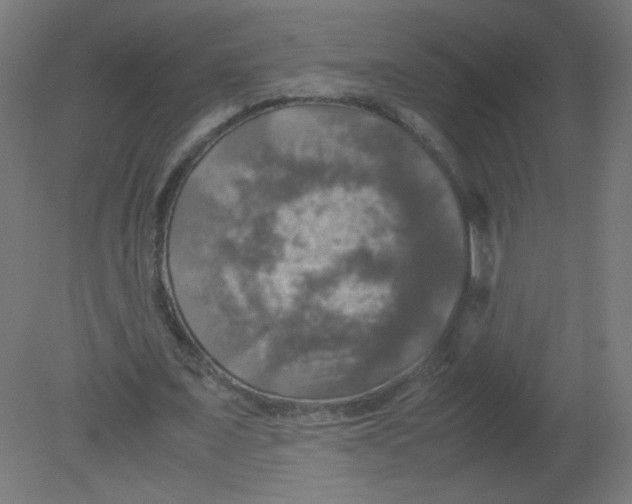 X0000080760675200701122030