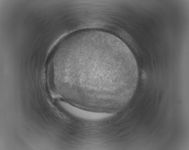 X0000080760676200701122030