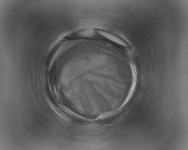 X0000080760677200701122030