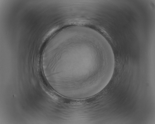 X0000080760679200701122030