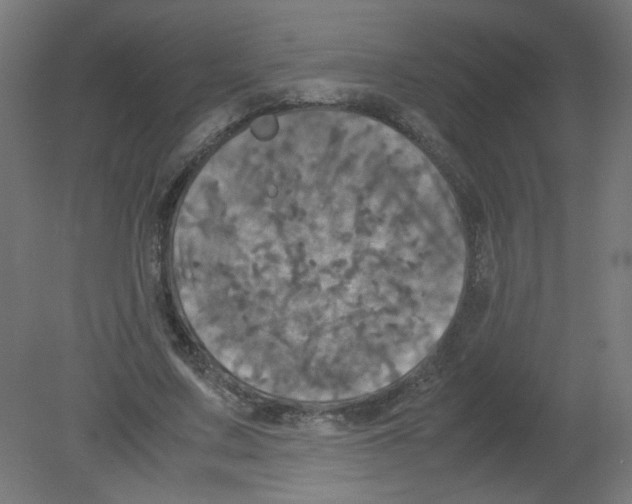 X0000080760683200701122030
